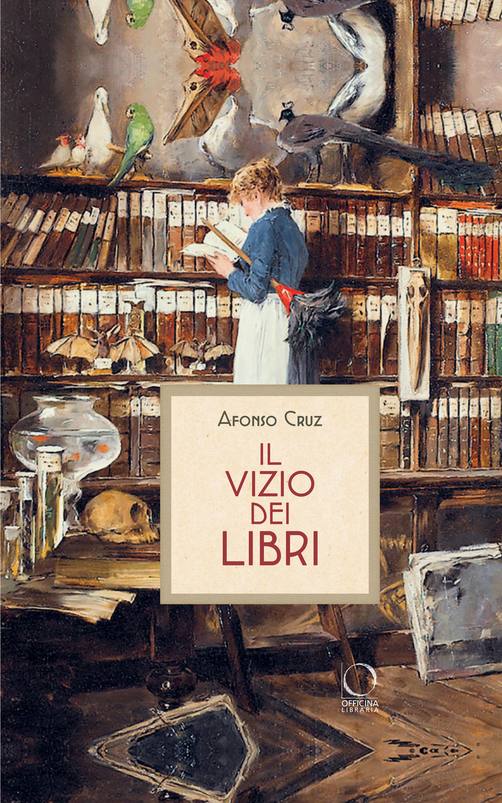 Book cover of 'Il Vizio dei Libri' by Afonso Cruz with a person in a library setting.