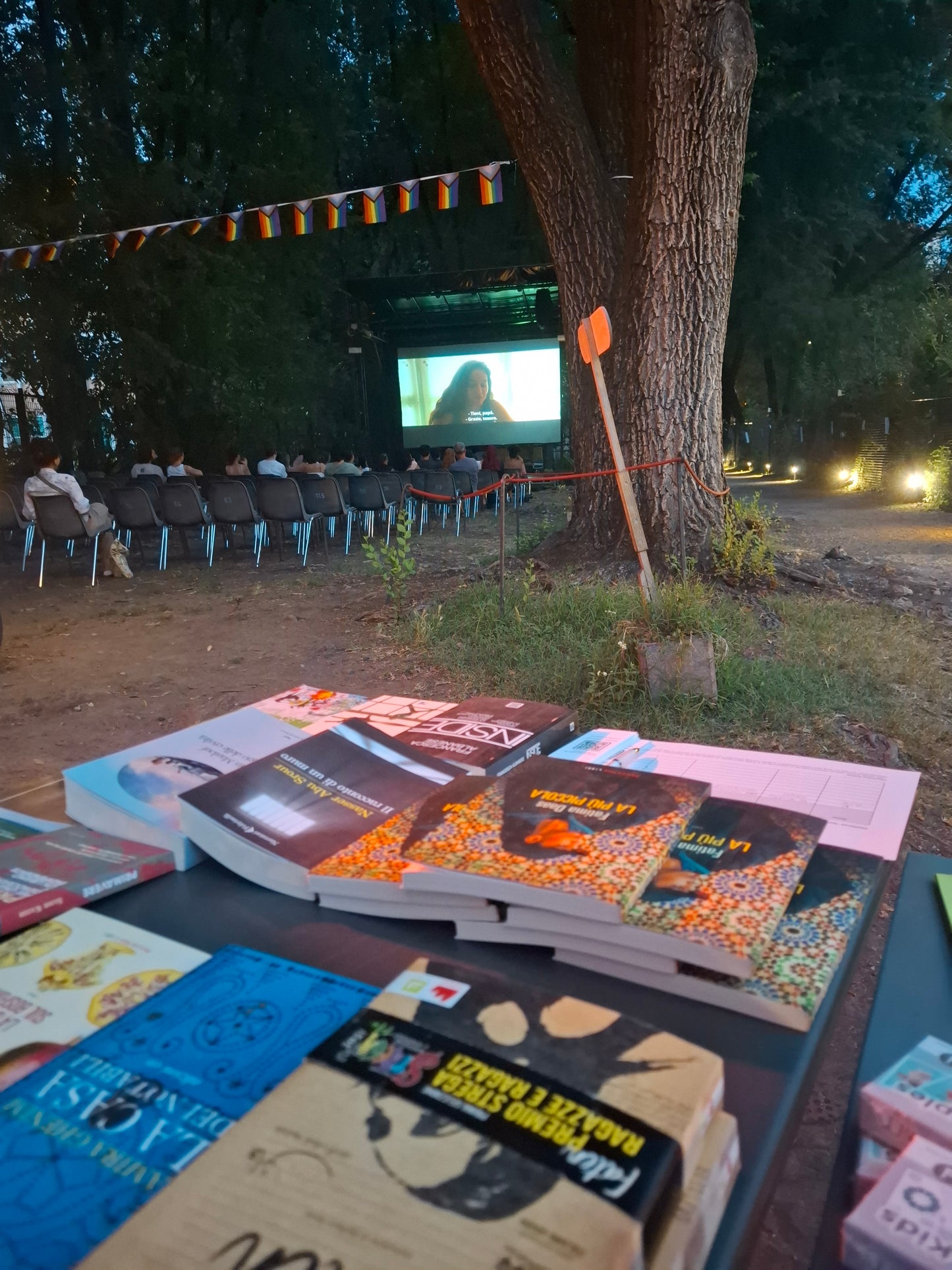 Cinema, Books, and New Perspectives: Our Summer with Nuovo Armenia