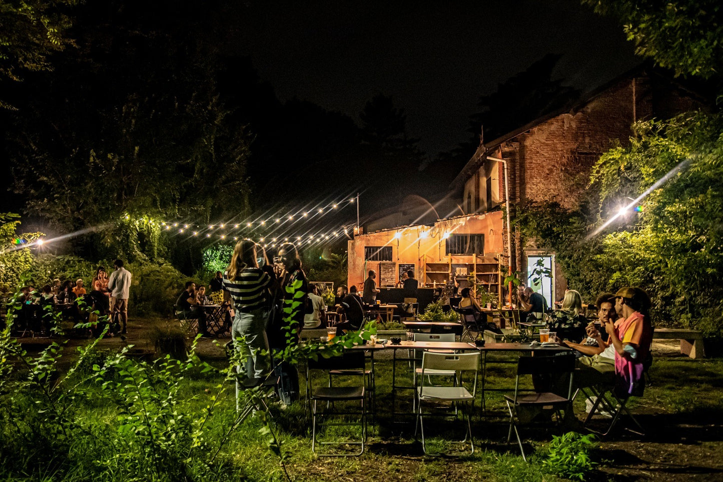 Cinema, Books, and New Perspectives: Our Summer with Nuovo Armenia
